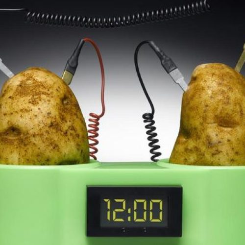 Electricity produced from potatoes