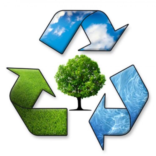 environmental policy (2)